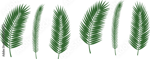 Palm leaf silhouette collection featuring tropical fronds in various shapes for botanical and nature design projects