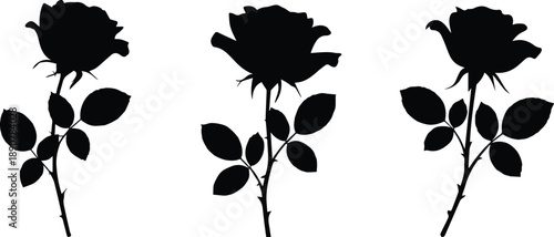 Set of Minimalist black blooming rose flower with stem silhouette vector icon