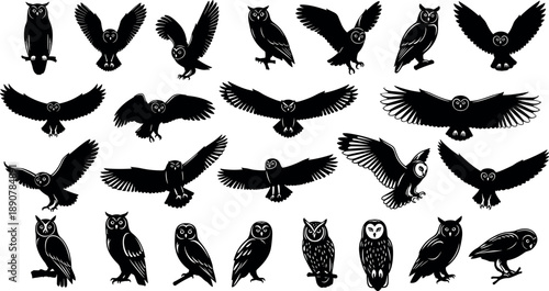 Big set of black owl silhouettes vector illustration collection showing birds flying perched and hunting isolated on a white background