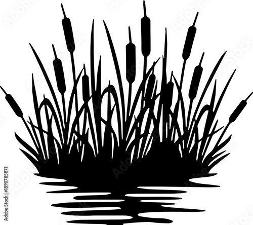 Black silhouette of cattails and reeds in a pond isolated on white background
