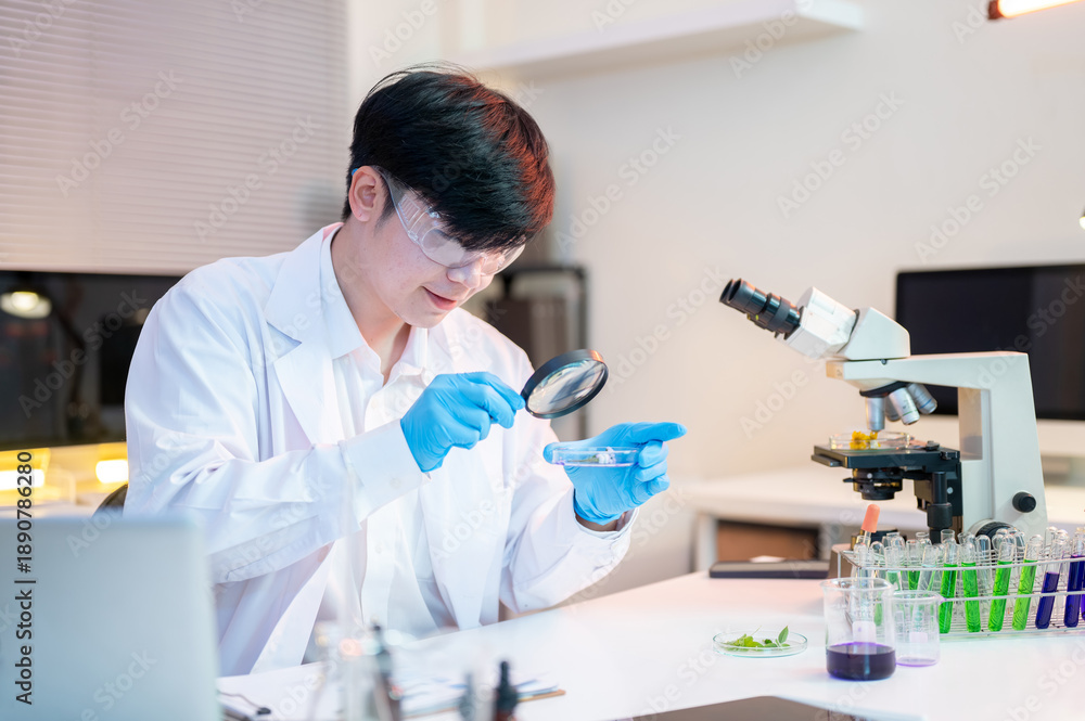 Fototapeta premium Scientist researcher man holds magnifying glass looking at test sample dish aside microscope in lab.