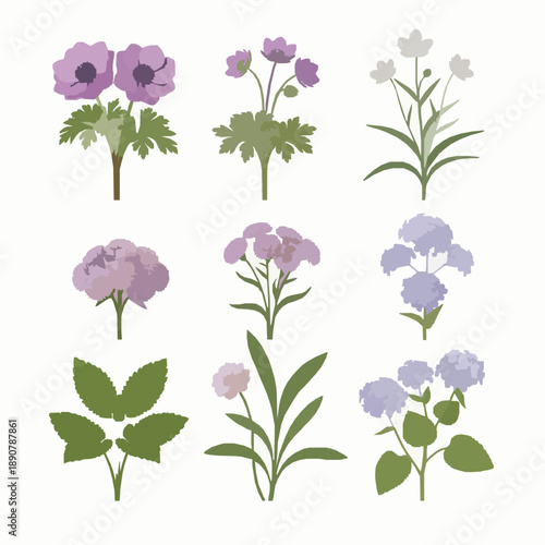 Realistic 3D ornamental flower collection isolated on white background botanical plants