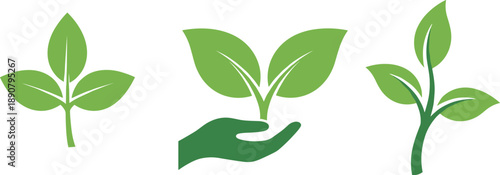 Green plant icons showing growth stages and nurturing hand, symbolizing sustainability, ecology, and environmental care