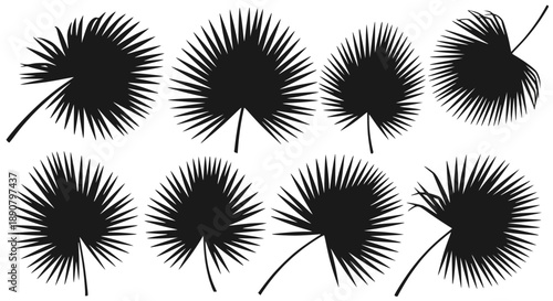 A simple, clean vector illustration of a kitchen whisk, perfect for culinary themes and cooking blogs.