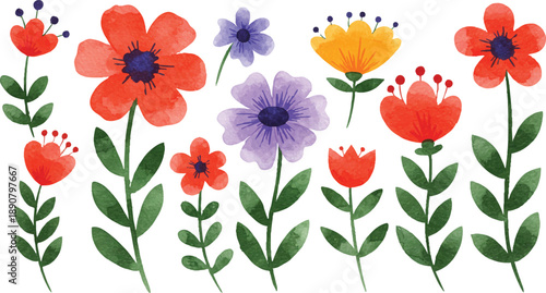 Colorful flowers blooming in a vibrant garden scene from a direct viewpoint