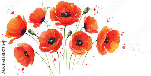 Vibrant red poppy flowers blooming in a lush garden scene viewed from above