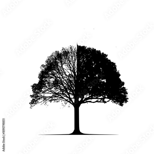 A tree divided in half showing the difference between life and death and the cycle of nature and growth