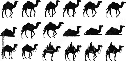 Camel Silhouette Vector Illustration Set, Dromedary Desert Animal Icons, Walking and Sitting Camels with Bedouin Riders for Middle East Safari Travel Design Template