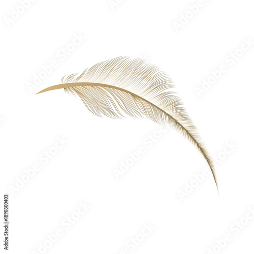 Elegant Golden Feather Line Art Illustration with Detailed Filigree Texture, Perfect for Luxurious and Delicate Design Elements