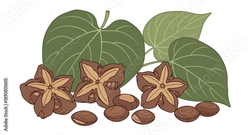 Vibrant cacao pods and leaves for gourmet food and beverage branding