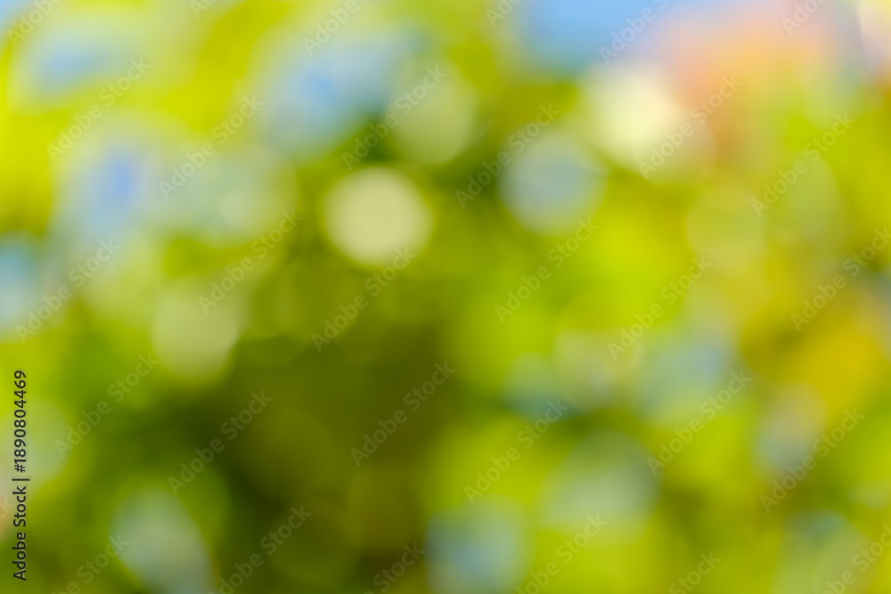 Fototapeta premium 新緑の光が溢れる抽象的な緑と黄色のボケ味の背景素材