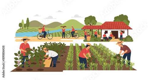 Farmers harvesting crops in a rural agricultural setting scene