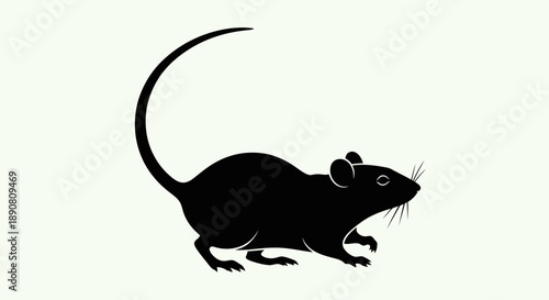 Silhouette of a small rodent with a long tail on a light background.