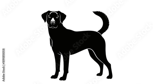 Silhouette of a standing dog with tail raised and alert posture.