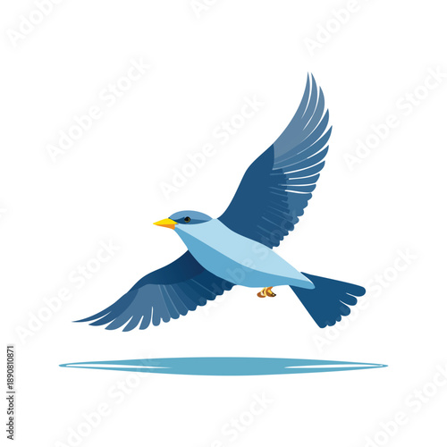 Bird in flight over water, vector illustration of a bird in motion, c84.eps reference