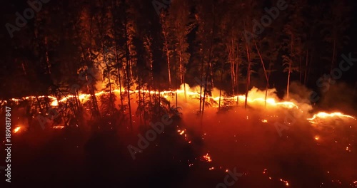 Wildfire engulfing a forest trees at night, flames spreading across the dry undergrowth and consuming trees, creating an ecological disaster with intensive heat glow and thick smoke. Aerial drone shot