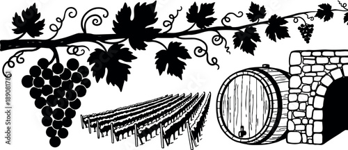 Black silhouette vine with grape clusters above vineyard rows and wooden wine barrel near stone cellar entrance vector art