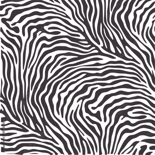 Seamless monochrome zebra stripe pattern texture stripes black