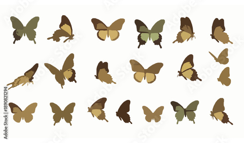 Flying Butterflies Collection Isolated on White Background Vector Illustration