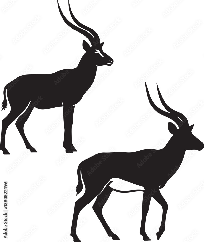 Obraz premium Pair of Antelope Silhouette