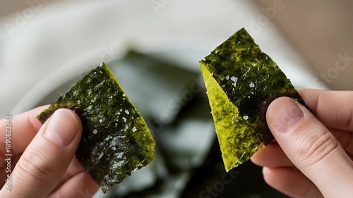 seaweed sheet closeup in hands for sushi wrap and nori snack