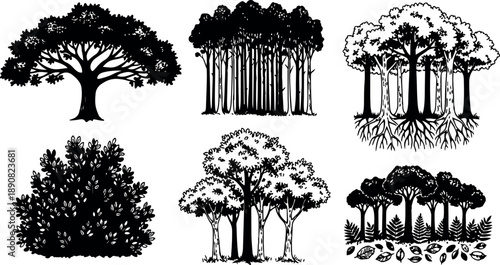 Black and white vintage style detailed vector art of various trees and dense forest clusters with foliage and roots illustration