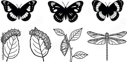 Black silhouette butterfly collection with caterpillar and chrysalis stages and detailed dragonfly line art in naturalistic scientific style