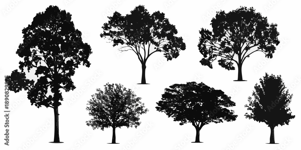 Fototapeta premium A collection of silhouetted trees with varying shapes and foliage