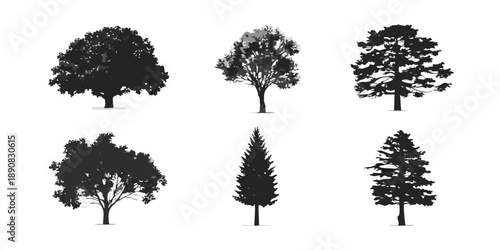 Silhouettes of various tree types against a plain white background