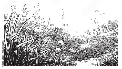 Underwater Scene with Aquatic Plants, Fish, and Bubbles, Black and White