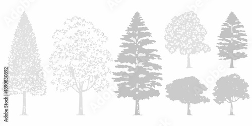 A collection of silhouetted coniferous and deciduous trees in grayscale
