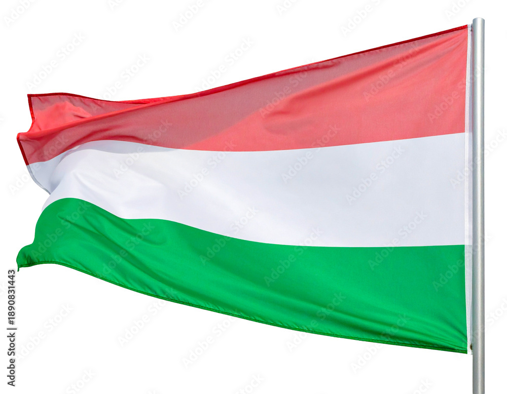 Fototapeta premium Flag of Hungary isolated on transparent or white background