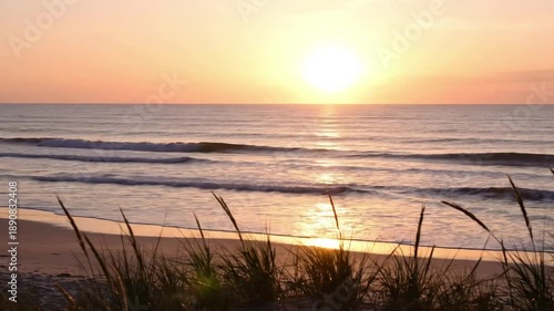 Backlit Coastal Grass Medium shot of tall, thin coastal grasses or reeds swaying gently in a soft breeze, silhouetted against the bright, low sun at the edge of the beach, with a focus on natural
