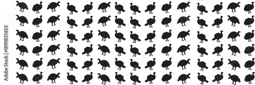 Multiple black silhouettes of turkeys in various poses on white background