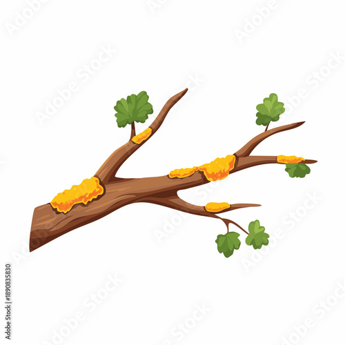 Dry, rotten branch with yellow and green lichen