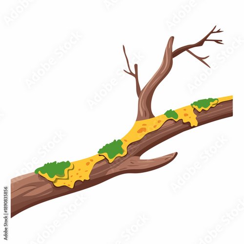 Dry, rotten branch with yellow and green lichen