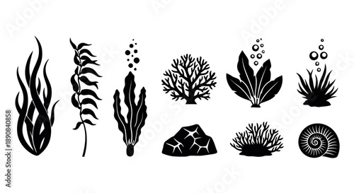 Aquatic plants and coral reef elements, seaweed, anemone, rock, seashell, bubbles, underwater flora and fauna for aquarium or ocean decor