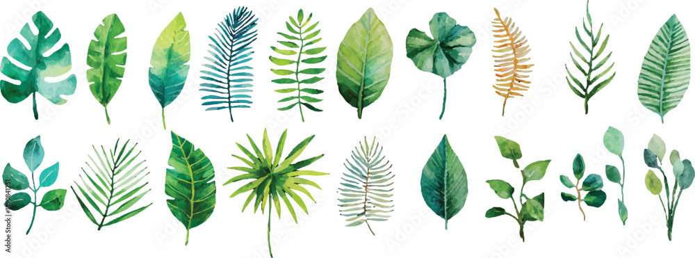 Fototapeta premium set of green wheat ears