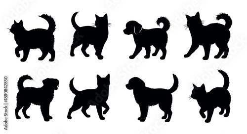 Cats and dogs silhouettes in various poses showing different breeds and playful movements as domestic pets companions on white background