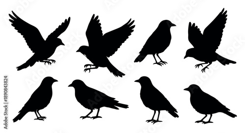 Collection of bird silhouettes showing various landing, perching, and wing spread poses for avian illustration