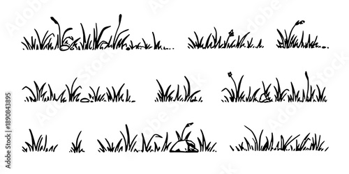Collection of diverse grass tufts and small wildflowers, seamless pattern elements, borders, natural elements, organic shapes, various heights