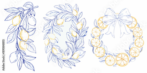 Elegant lemon branch and wreath sketches with delicate blue line art and gold accents