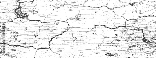 Cracked Grunge Texture Overlay Black and White Vector Background Distressed Surface Broken Wall Effect Grungy Abstract Pattern