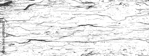 Distressed Vector Grunge Texture Overlay Background Cracked Wood Grain Rough Surface Black and White Graphic Element