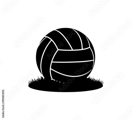 Volleyball on Grass Field