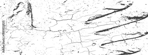 Distressed Cracked Grunge Texture Vector Overlay Background Black and White Monochrome
