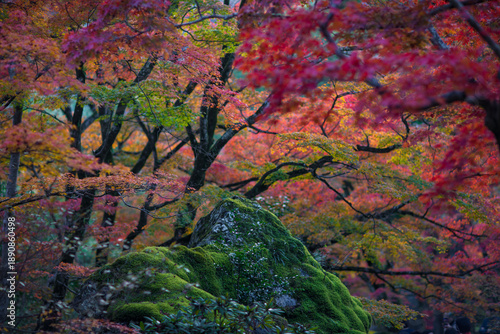 Hogonin Temple in Kyoto, Japan in late autumn