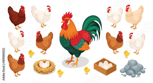 A colorful illustration depicting a rooster hens and chicks on a farm