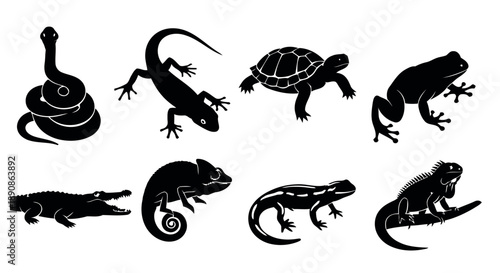 Reptile and amphibian silhouettes including snake, lizard, turtle, frog, alligator, chameleon, and iguana for wildlife and nature illustration purposes