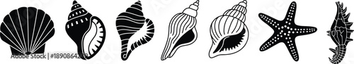 Minimal seashell and starfish icon set in black and white, marine ocean symbols illustration isolated on white background